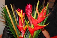 KMO_0071