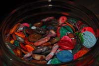 KMO_8595