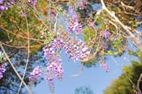 KMO_8094