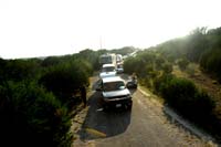 KMO_8646