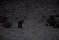 KMO_0232